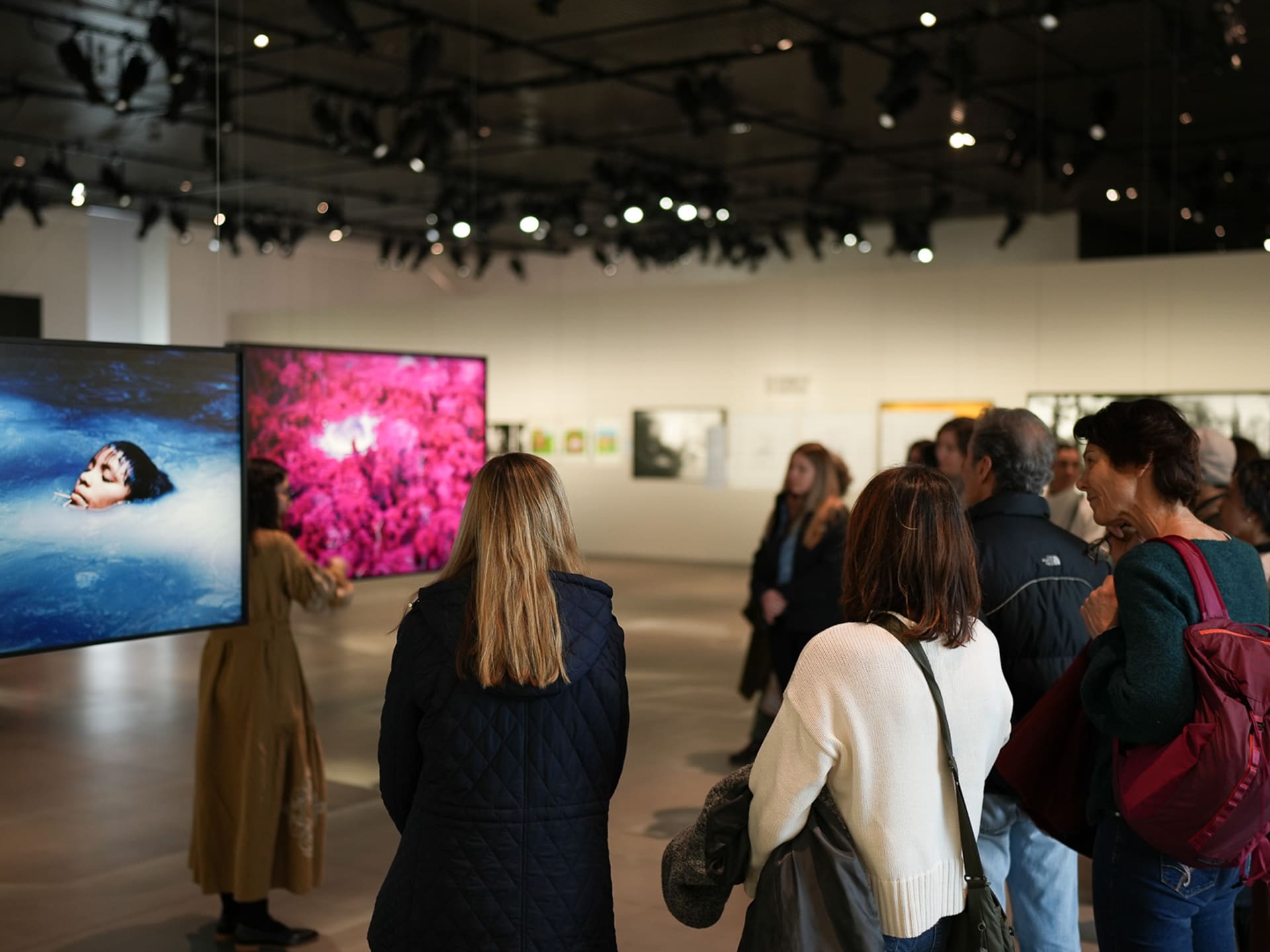 The Yanomami Struggle