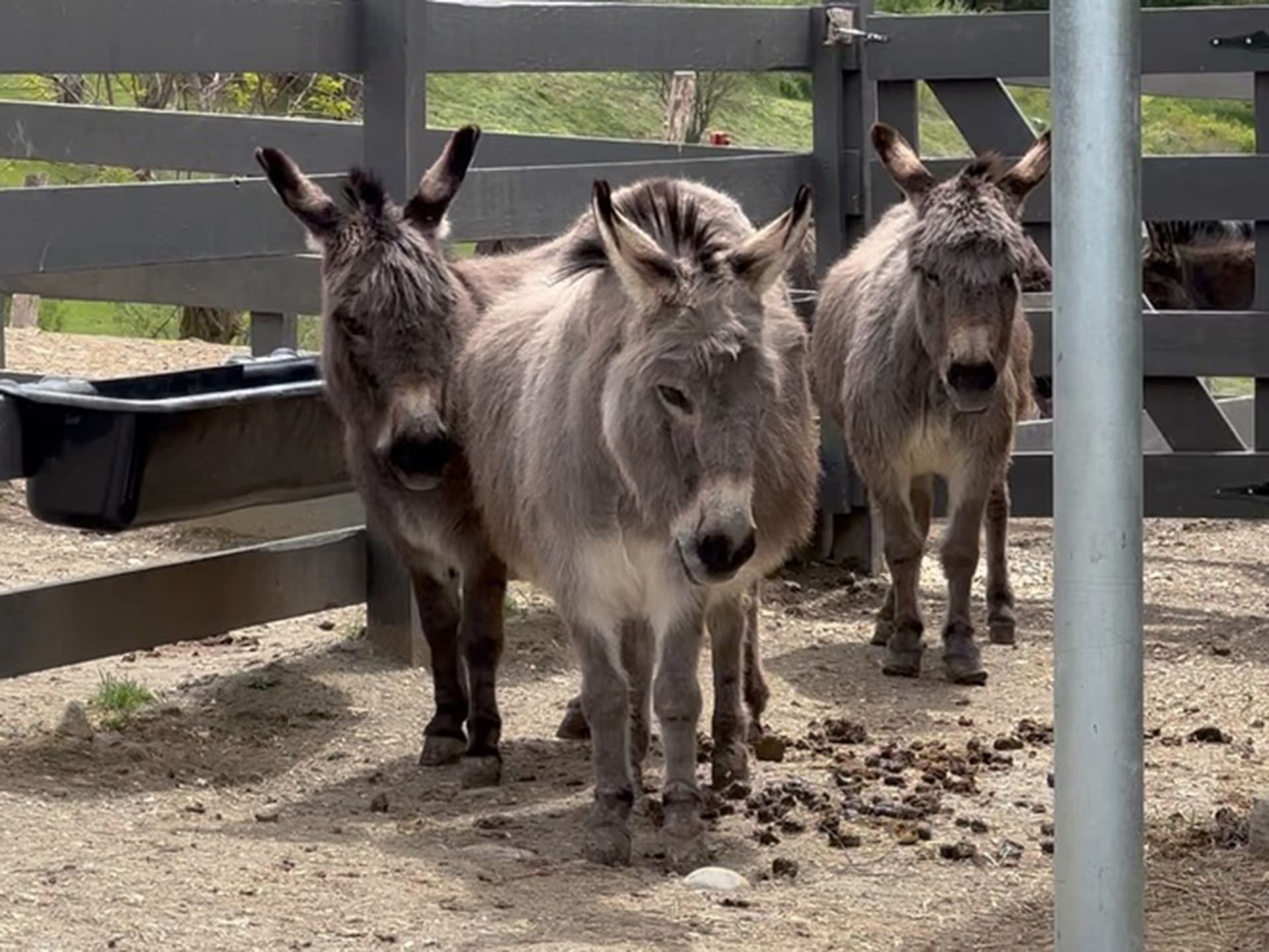 Magazzino Italian Art